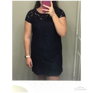 Loft Blue Lace Dress